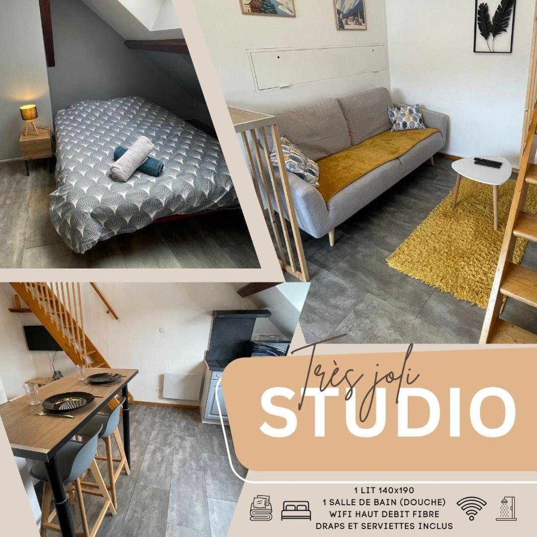 Superbe Studio A Proximite Du Centre-Ville Saint-Die-des-Vosges Zewnętrze zdjęcie