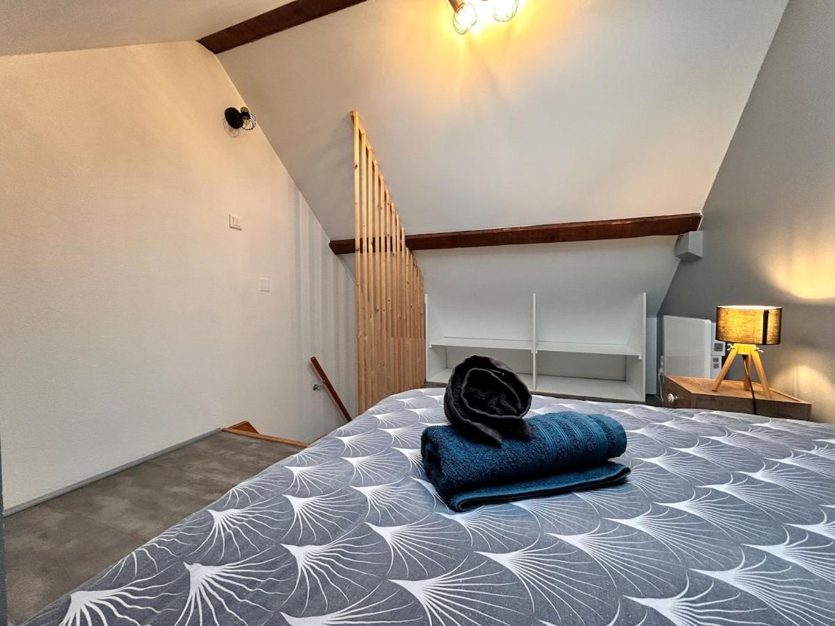 Superbe Studio A Proximite Du Centre-Ville Saint-Die-des-Vosges Zewnętrze zdjęcie